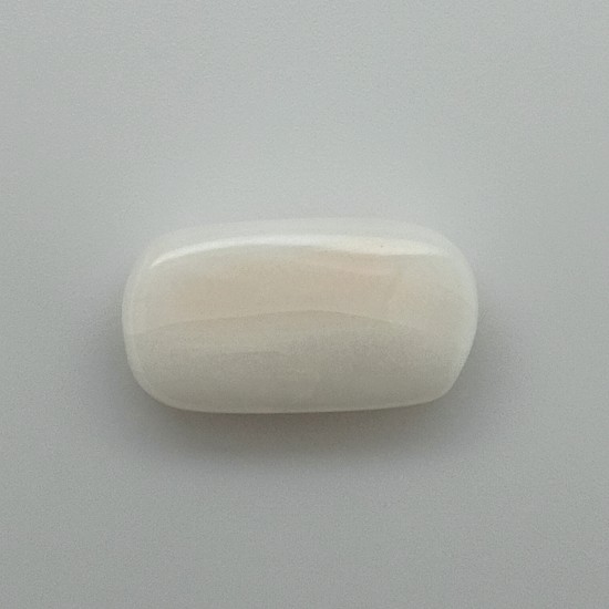 White Coral (Safed Moonga) 12.6 Ct Best Quality